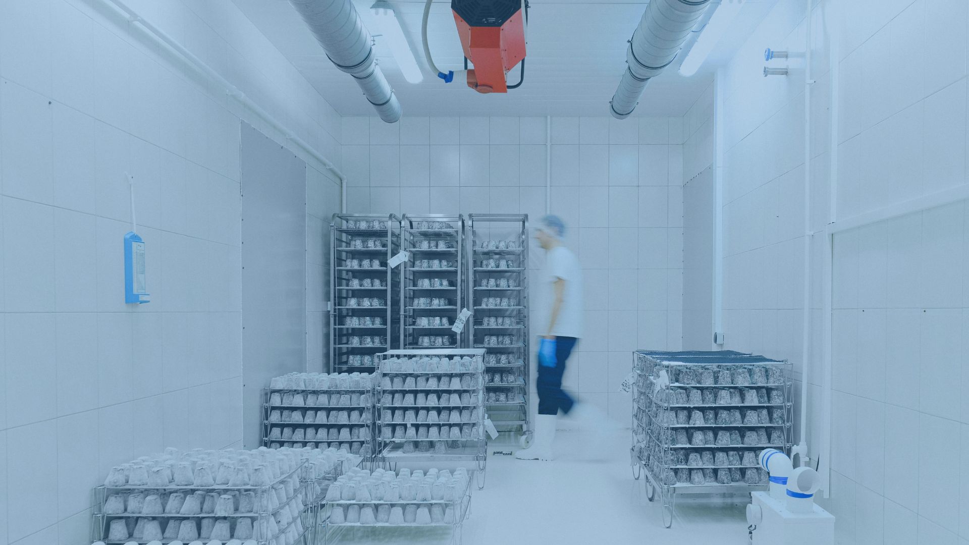manufacturing